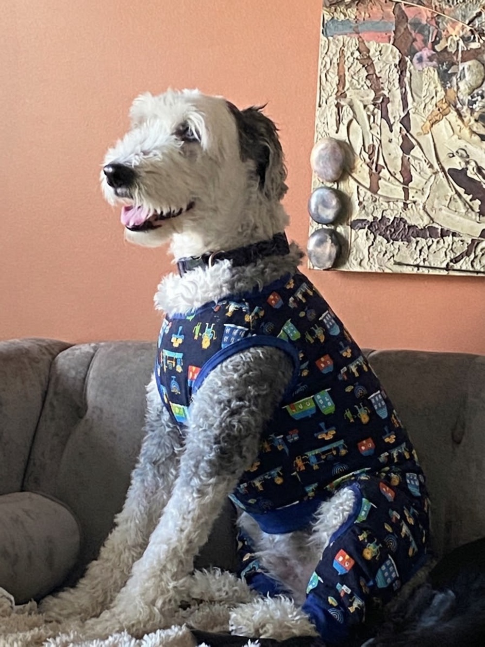 Target Hanukkah Dog Pajamas Onesie - Size XXL